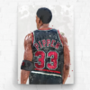 Poster Canvas –  Pippen Monster Dunking