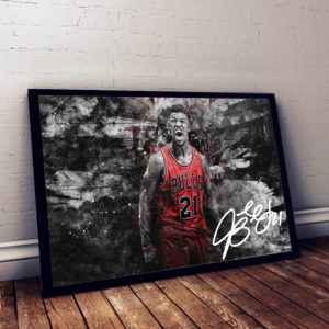 Poster Canvas – Butler Devil