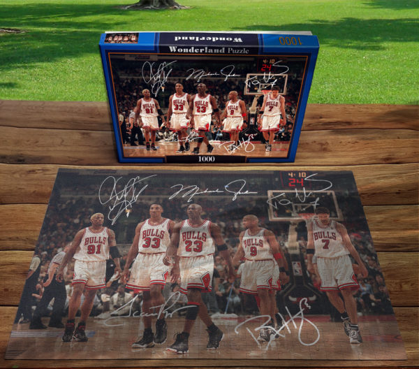 Jigsaw Puzzle – The Bulls