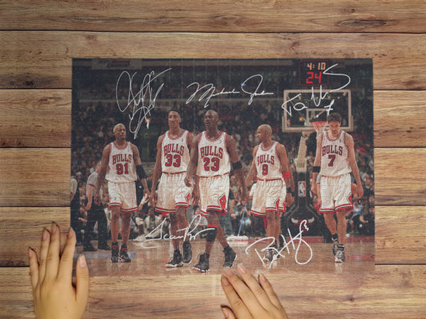 Jigsaw Puzzle – The Bulls