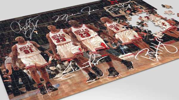 Jigsaw Puzzle – The Bulls