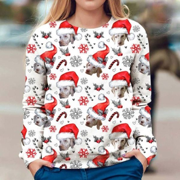 Braque Du Bourbonnais Christmas Ugly Sweater