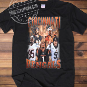Cincinnati Bengals 2022 Divisional Round Champions Vintage T-Shirt