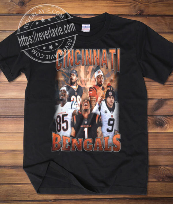 Cincinnati Bengals 2022 Divisional Round Champions Vintage T-Shirt