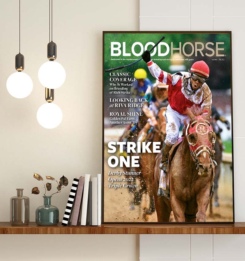 Blood Horse Strike One Derby Stunner Winner Rich Strike Original Poster Canvas Blood Horse Strike One Derby Stunner Winner Rich Strike Original Poster Canvas