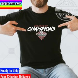Chicago Wolves 2022 Calder Cup Champions Vintage Gift T-Shirt