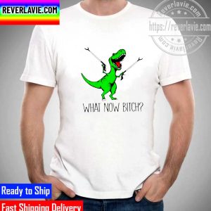 T-Rex What Now Bitch Funny Unisex T-Shirt