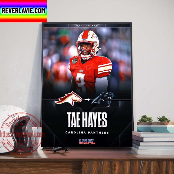 USFL Champion CB Tae Hayes Signed With Carolina Panthers Home Decor Poster Canvas