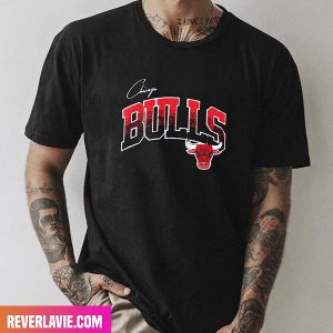Men’s Chicago Bulls Pro Standard Black Hometown Chenille Style T-Shirt