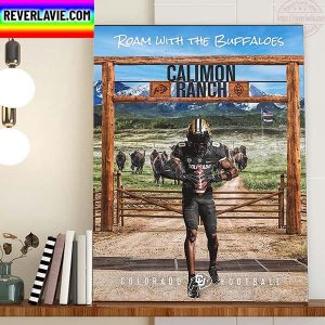 Roam With The Buffaloes Calimon Ranch Colorado Buffaloes Football Home Decor Poster Canvas