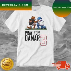 Who Dey Mascot And Billy Buffalo Mascot Pray For Damar Hamlin T-shirt