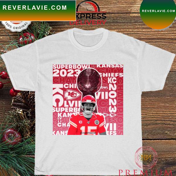 The Kansas city Chiefs have won the super bowl T-shirt The Kansas city Chiefs have won the super bowl T-shirt