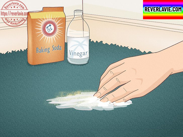 Benefits of Cleaning Your Carpet with Vinegar and Baking Soda 1