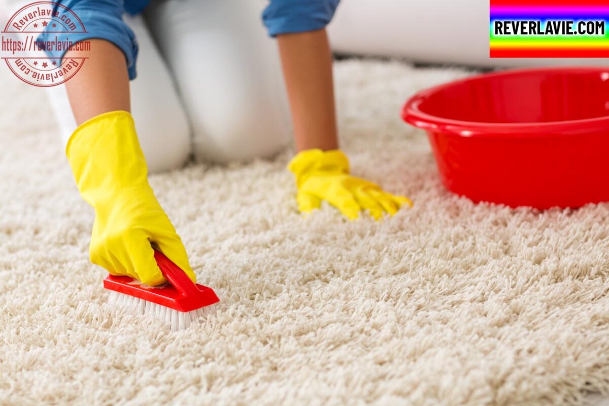 How to Clean Carpet with Baking Soda 1