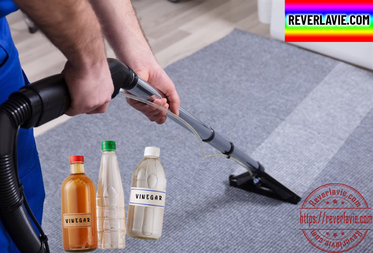 Use Vinegar to Clean Carpets