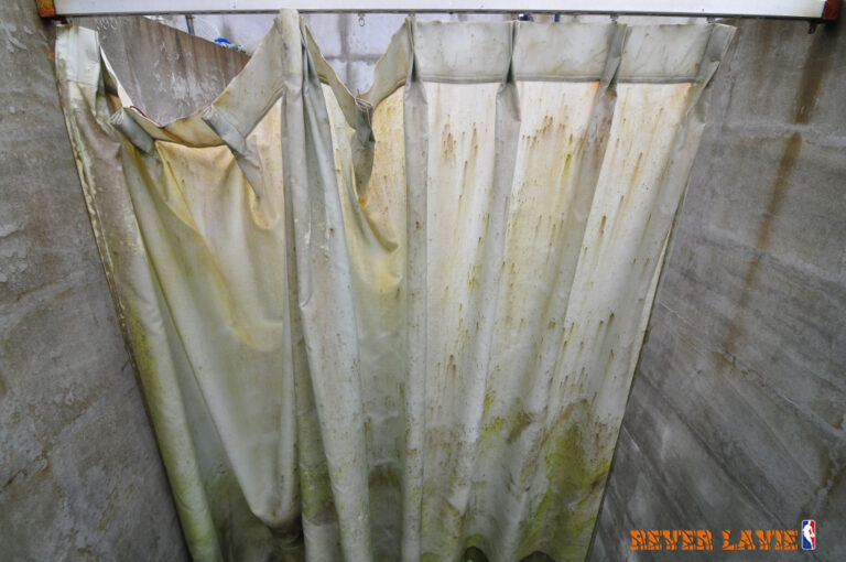 Mold on Shower Curtain Causes, Prevention, and Solutions