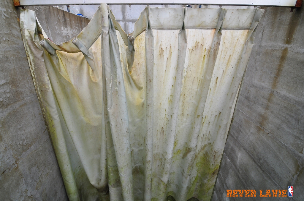 Example of Mold on Shower Curtain