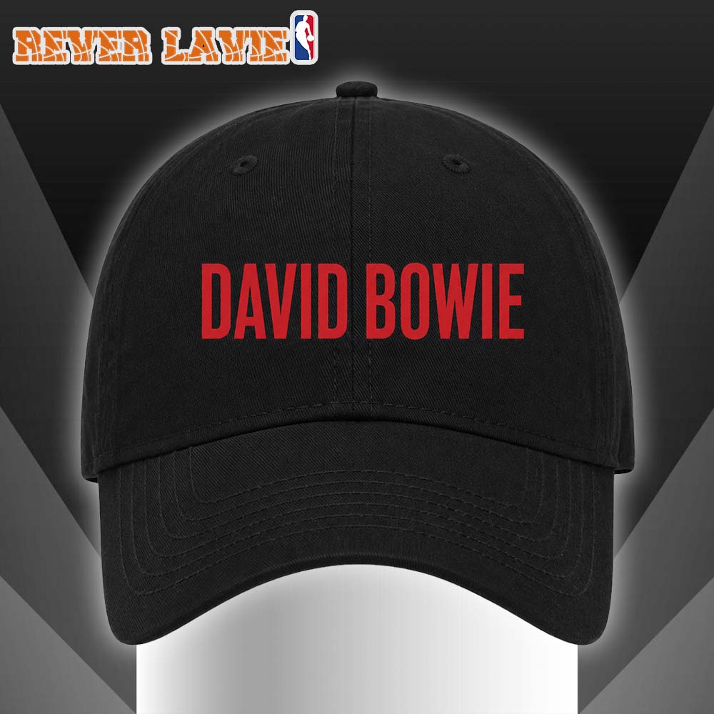 David Bowie Embroidered Hat Classic Rock Band Merch Cap Music Fan Gift David Bowie Embroidered Hat Classic Rock Band Merch Cap Music Fan Gift